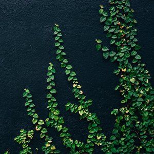 Welcome to Subtle Energy